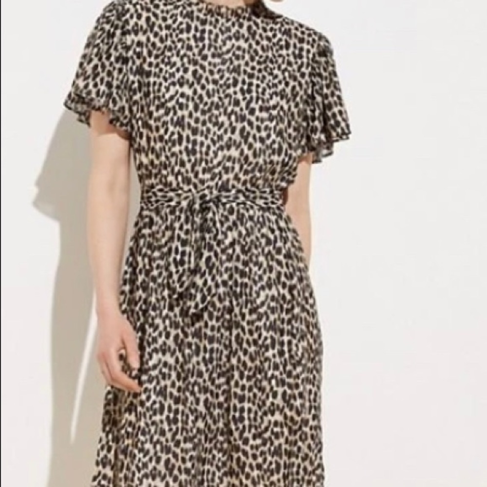 Loft print dress